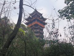 -塔子山公园