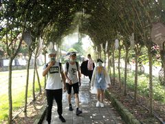 -武汉紫薇都市田园