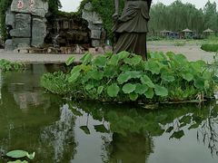 -白洋淀景区