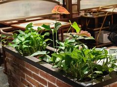-云海肴云南菜·蒸汽石锅鱼(新奥店)