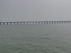 -宝安西湾红树林湿地公园