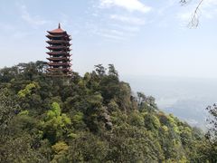 -缙云山景区