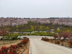 -古柏渡飞黄旅游区