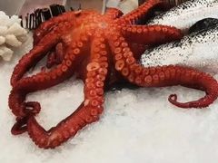 -金狮国际酒店自助餐(金狮店)