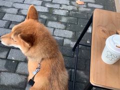 -Onirii Coffee(长乐路店)
