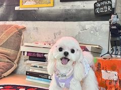 -nodcafe(M50创意园店)