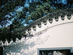 -南山植物园