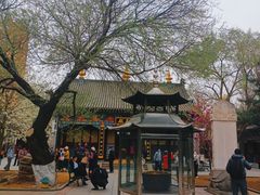 -护国法轮寺