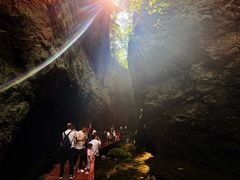 -牛背梁国家森林公园