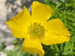 -白草畔自然风景区