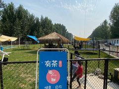 -爪吧宠物乐园·宠物泳池(温榆河示范区店)