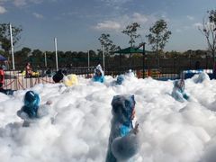 -季高兔窝窝亲子园(上海薰衣草公园店)