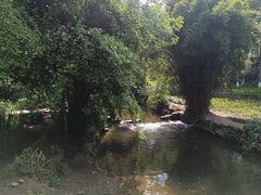 -重庆彩云湖湿地公园