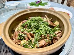 沙姜乳鸽-五邑人家(江门店)