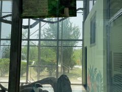 -武清南湖绿博园