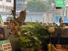 -CoffeeVendor(西乡店)