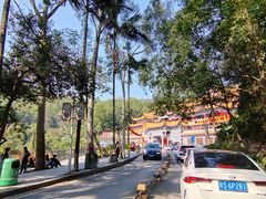 -东莞市大岭山森林公园