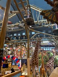 -卡通尼·Safari非洲探索乐园·生日会(金桥国际商业广场店)