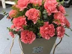 -鱼酷活鱼烤鱼(恒隆广场店)