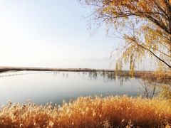 -野鸭湖国家湿地公园