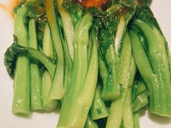 耗油菜心-四道菜·福建菜馆(新街口金鹰店)