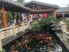 -顺德了能馆(虎门店)