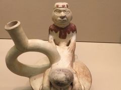 -美国自然历史博物馆