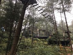 -梦幻奥陶纪景区