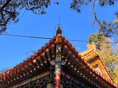 -潭柘寺景区