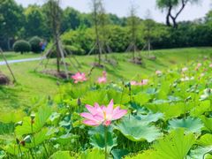 -宜兴龙背山森林公园