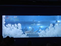 -重庆欢乐海底世界