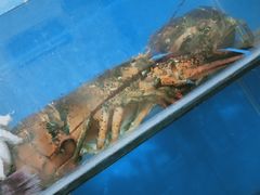 -宾朋海鲜特色美食餐厅·纯手工鲅鱼水饺(兴海路店)