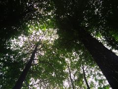 -晓港公园