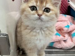 -乐宠宠物店(世纪金源店)