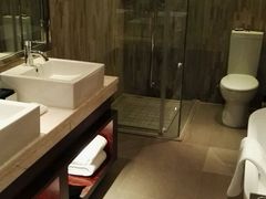 -常州环球恐龙城维景国际大酒店
