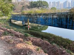 -重庆彩云湖湿地公园