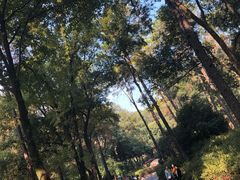 -东湖磨山景区
