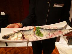 -漾亚·雍雅合鲜(鹭岛店)