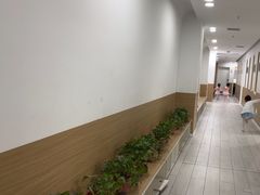 -西安小天鹅艺术团(金花路校区)