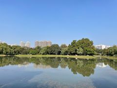 -堤角公园