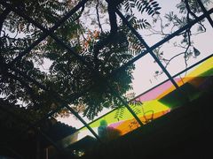 -zarah(鼓楼店)