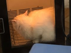 -转角宠物(转塘方家苑店)