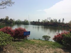 -桃花岛景观公园