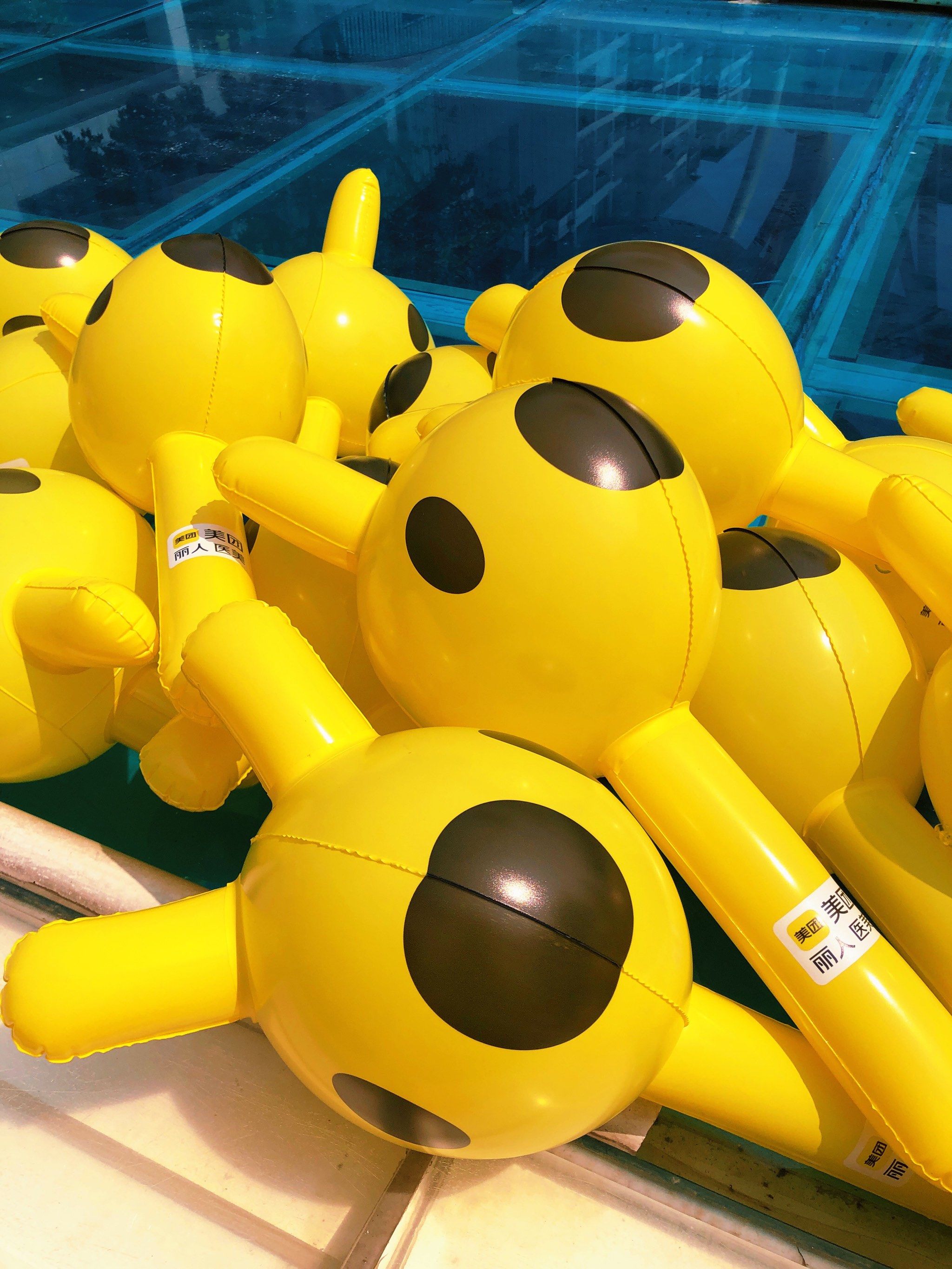 偶遇美团小袋鼠一只只好可爱