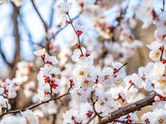 -济南野生动物世界