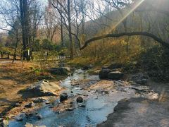 -国家植物园南园