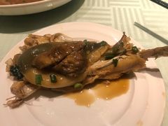 河豚鱼-江海渔港(姚港路店)
