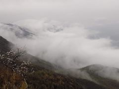 -阳台山自然风景区