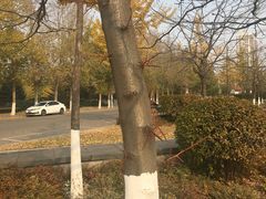-辽宁大学(崇山校区)