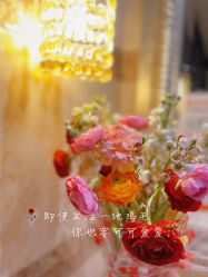 点击看大图 -新寰亚月子会所(金鸡湖凯宾店)